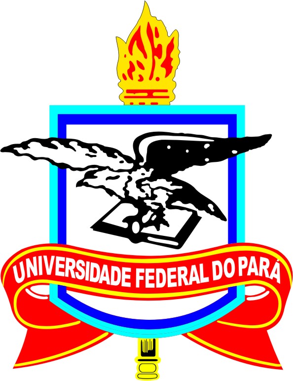 Universidade Federal do Pará - UFPA: Saiu edital para mais ...